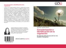 Bookcover of Caracterización e identificación de la vegetación