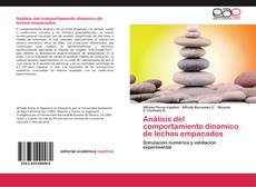 Bookcover of Análisis del comportamiento dinámico de lechos empacados