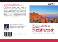 Couverture de Pretratamiento de biomasa lignocelulósica para la producción de etanol