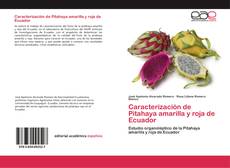 Caracterización de Pitahaya amarilla y roja de Ecuador kitap kapağı