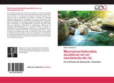 Bookcover of Macroinvertebrados acuáticos en un nacimiento de río