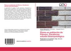 Plomo en población de Pánuco, Zacatecas: estudio bioarqueológico kitap kapağı