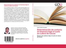 Capa do livro de Determinación de carbono en biomasa bajo el suelo en cultivo de Cacao 