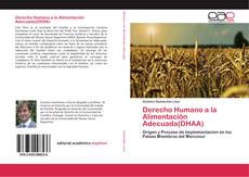 Derecho Humano a la Alimentación Adecuada(DHAA) kitap kapağı