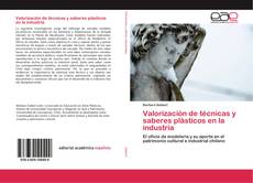 Buchcover von Valorización de técnicas y saberes plásticos en la industria