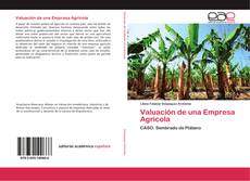 Buchcover von Valuación de una Empresa Agricola
