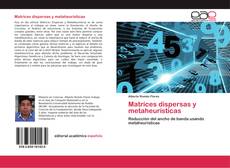 Matrices dispersas y metaheurísticas kitap kapağı