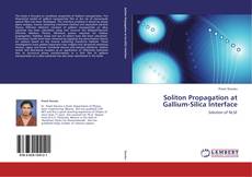 Capa do livro de Soliton Propagation at Gallium-Silica Interface 