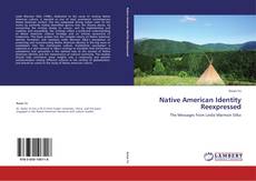Portada del libro de Native American Identity Reexpressed