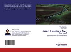 Couverture de Stream Dynamics of River Chambal