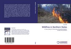 Buchcover von Wildfires in Northern States