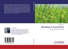 Modeling in Scented Rice kitap kapağı