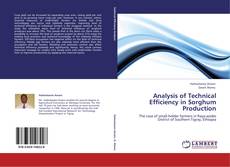 Buchcover von Analysis of Technical Efficiency in Sorghum Production