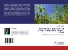 Buchcover von Processing of Sugarcane at Ramgarh Sugarmill, Sitapur, India