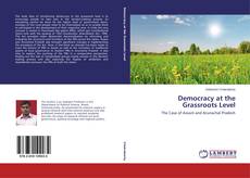 Couverture de Democracy at the Grassroots Level