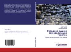 Buchcover von Оксидная рудная минерализация траппов