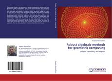 Buchcover von Robust algebraic methods for geometric computing