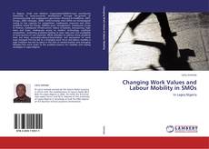 Buchcover von Changing Work Values and Labour Mobility in SMOs