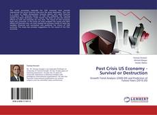 Post Crisis US Economy - Survival or Destruction kitap kapağı