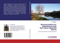 Copertina di Макрозообентос равнинных рек бассейна Нижней Волги