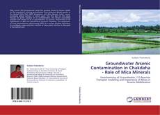 Portada del libro de Groundwater Arsenic Contamination in Chakdaha - Role of Mica Minerals