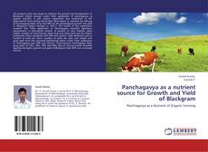Bookcover of Panchagavya as a nutrient source for Growth and Yield of Blackgram