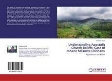 Buchcover von Understanding Apostolic Church Beliefs: Case of Johane Masowe Chishanu