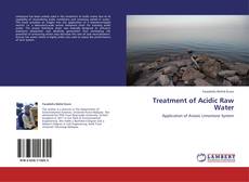 Buchcover von Treatment of Acidic Raw Water