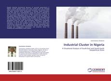 Industrial Cluster in Nigeria kitap kapağı