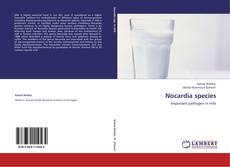 Nocardia species kitap kapağı
