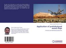 Buchcover von Application of prehidrolysed wood chips