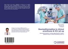 Dexmeditomedine in clinical anesthesia & ICU set up kitap kapağı