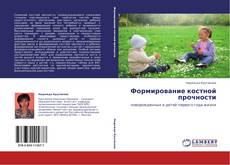 Buchcover von Формирование костной прочности