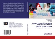 Capa do livro de Sucrose synthesis, transport and accumulation in Saccharum genotypes 
