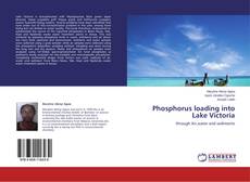Buchcover von Phosphorus loading into Lake Victoria