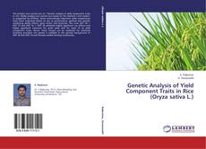 Couverture de Genetic Analysis of Yield Component Traits in Rice (Oryza sativa L.)