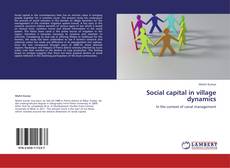 Social capital in village dynamics kitap kapağı
