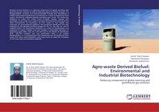 Agro-waste Derived Biofuel: Environmental and Industrial Biotechnology kitap kapağı
