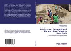Copertina di Employment Guarantee and Consumption Pattern in Rural India