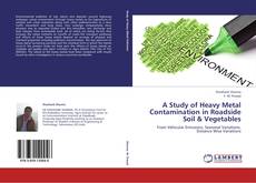 Capa do livro de A Study of Heavy Metal Contamination in Roadside Soil & Vegetables 