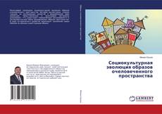 Социокультурная эволюция образов очеловеченного пространства kitap kapağı