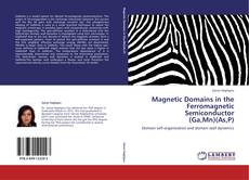 Capa do livro de Magnetic Domains in the Ferromagnetic Semiconductor  (Ga,Mn)(As,P) 