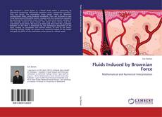 Buchcover von Fluids Induced by Brownian Force
