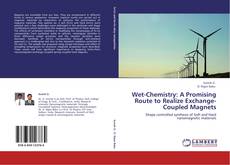 Capa do livro de Wet-Chemistry: A Promising Route to Realize Exchange-Coupled Magnets 