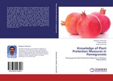 Copertina di Knowledge of Plant Protection Measures in Pomegranate