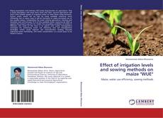 Bookcover of Effect of irrigation levels and sowing methods on maize "WUE"