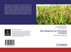 Buchcover von Rice Response to P-Enriched Compost