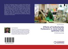 Effects of Sutherlandia frutescens in renal tubule epithelial cells kitap kapağı