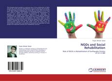 Capa do livro de NGOs and Social Rehabilitation 