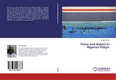 Capa do livro de Tense and Aspect in Nigerian Pidgin 